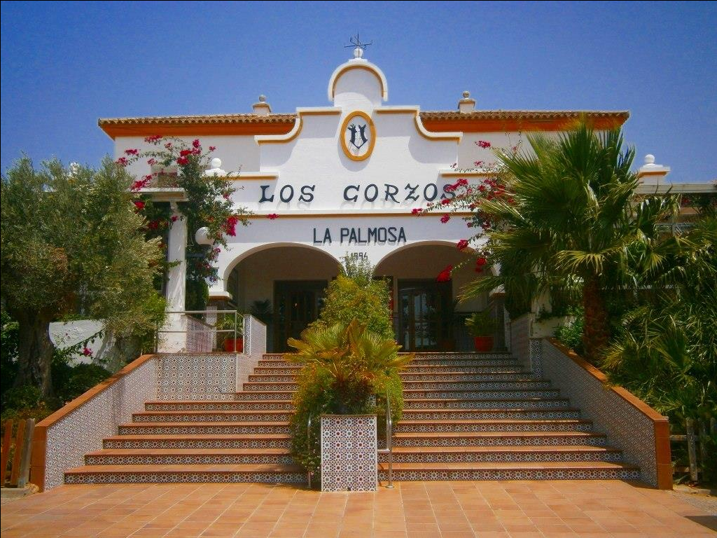 Restaurante Los Corzos Alcalá de los Gazules