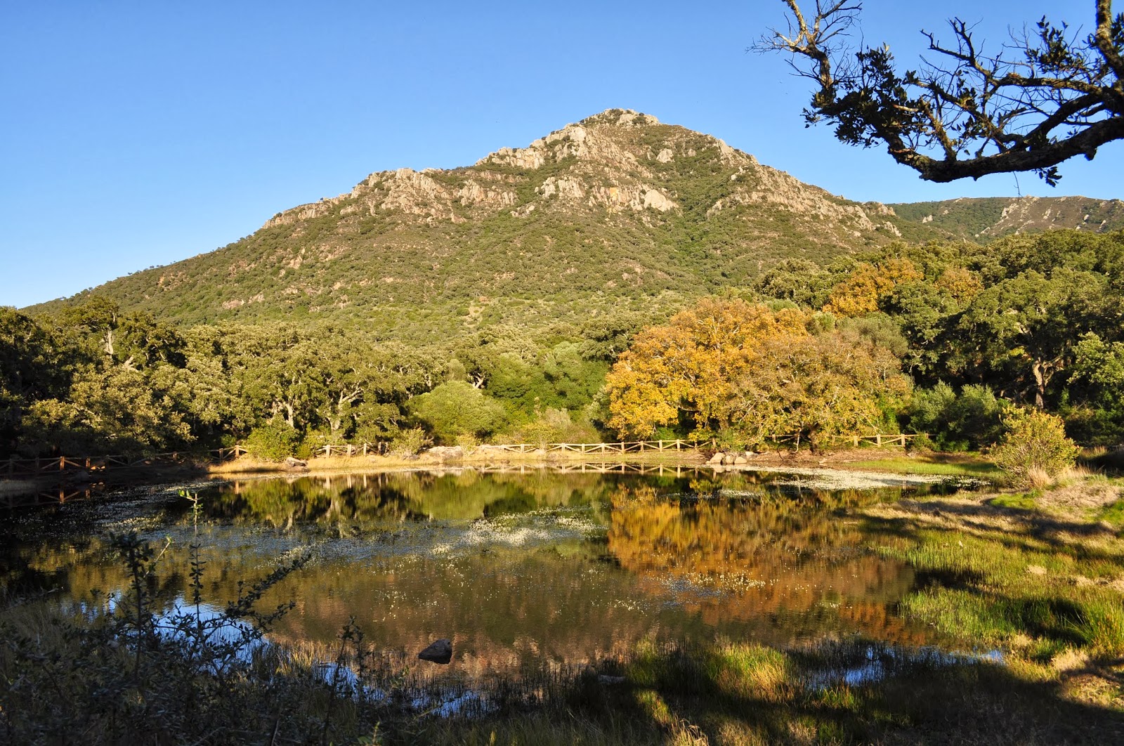Ruta Laguna El Picacho, Alcalá de los Gazules: Itinerario, Consejos y ...
